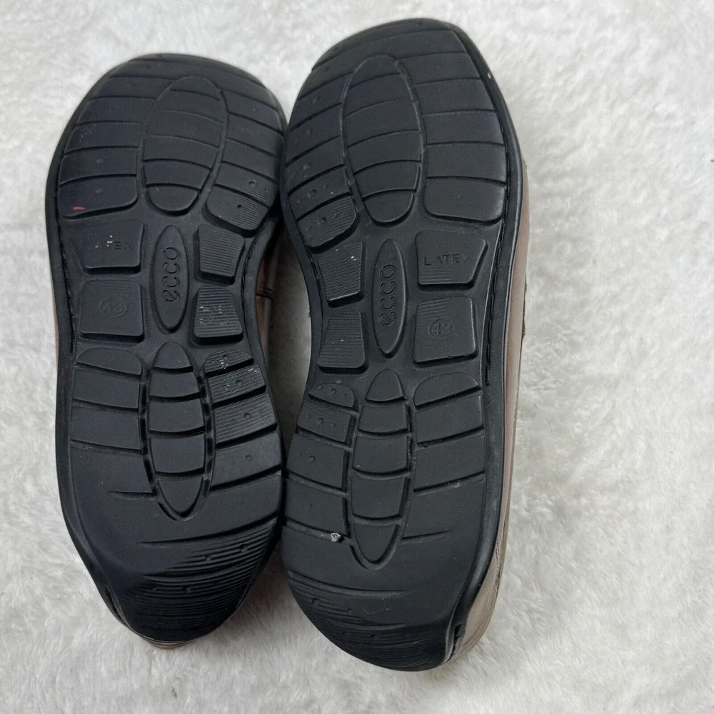 Ecco these brown